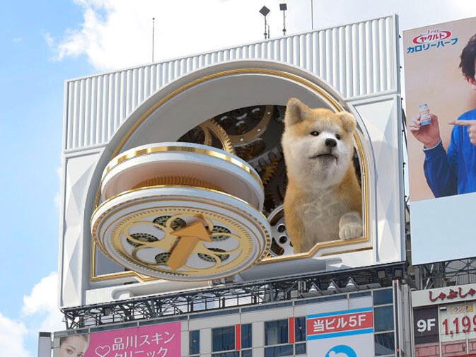 iFLYER: 超巨大3Dカラクリ時計動画『秋田犬の子犬』が渋谷駅前エリアに 