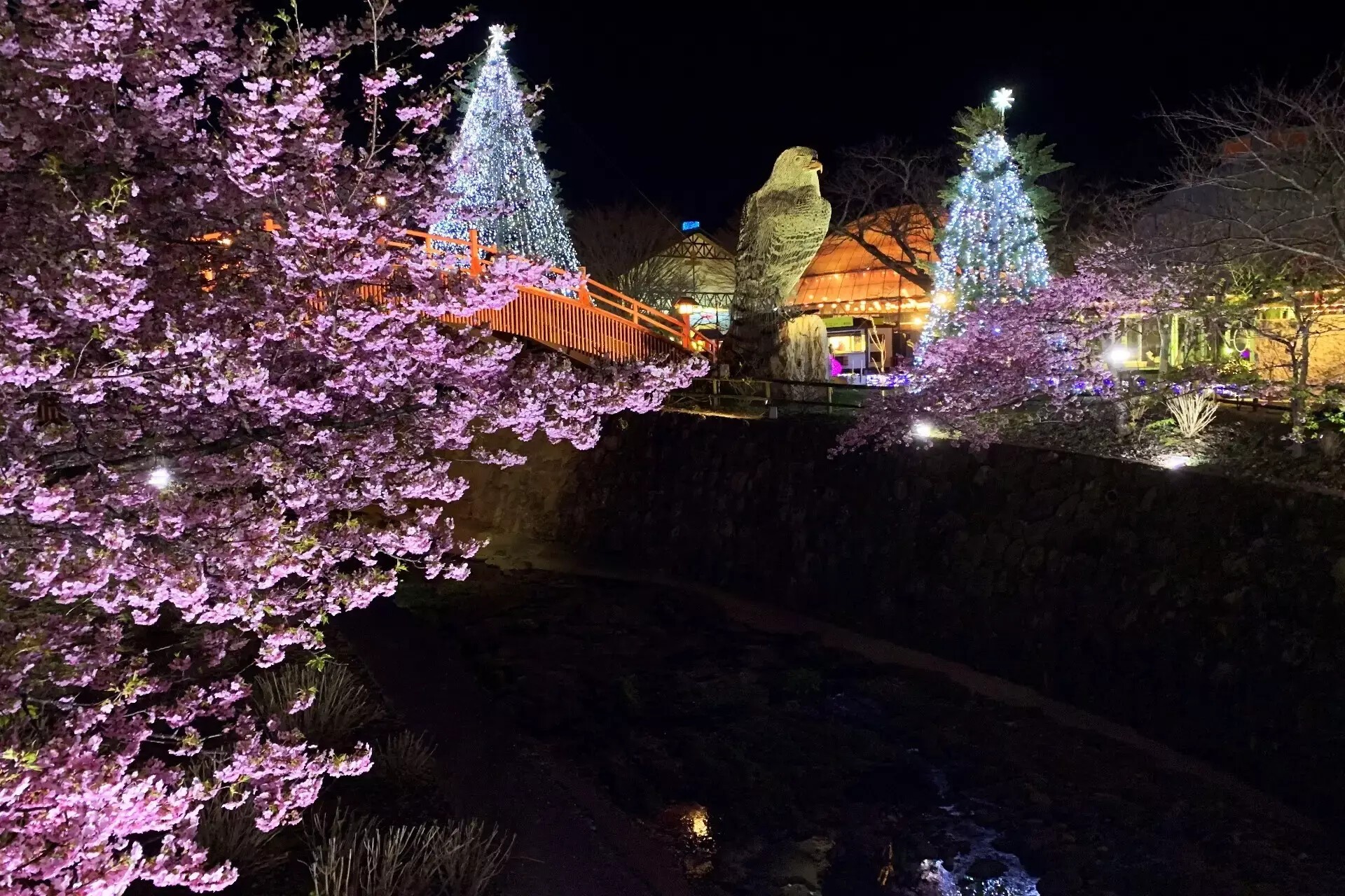 iFLYER: 御殿場高原 時之栖にて約5,000本の桜とクラフトビールや