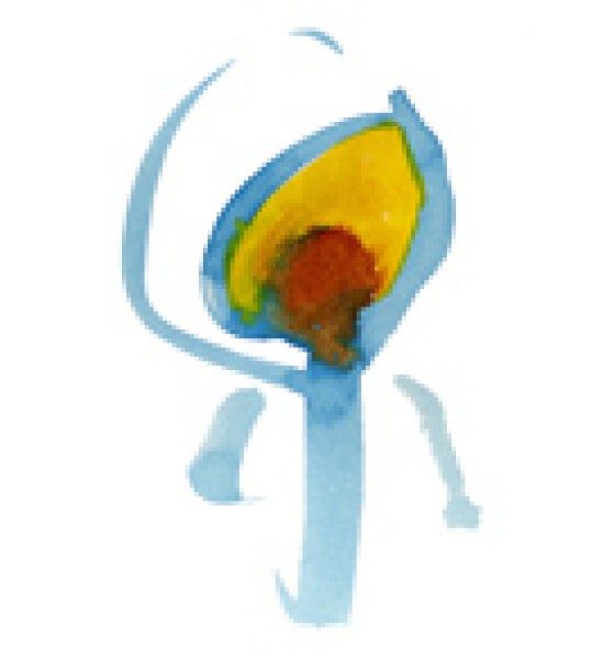 iFLYER: Nujabes - DJ