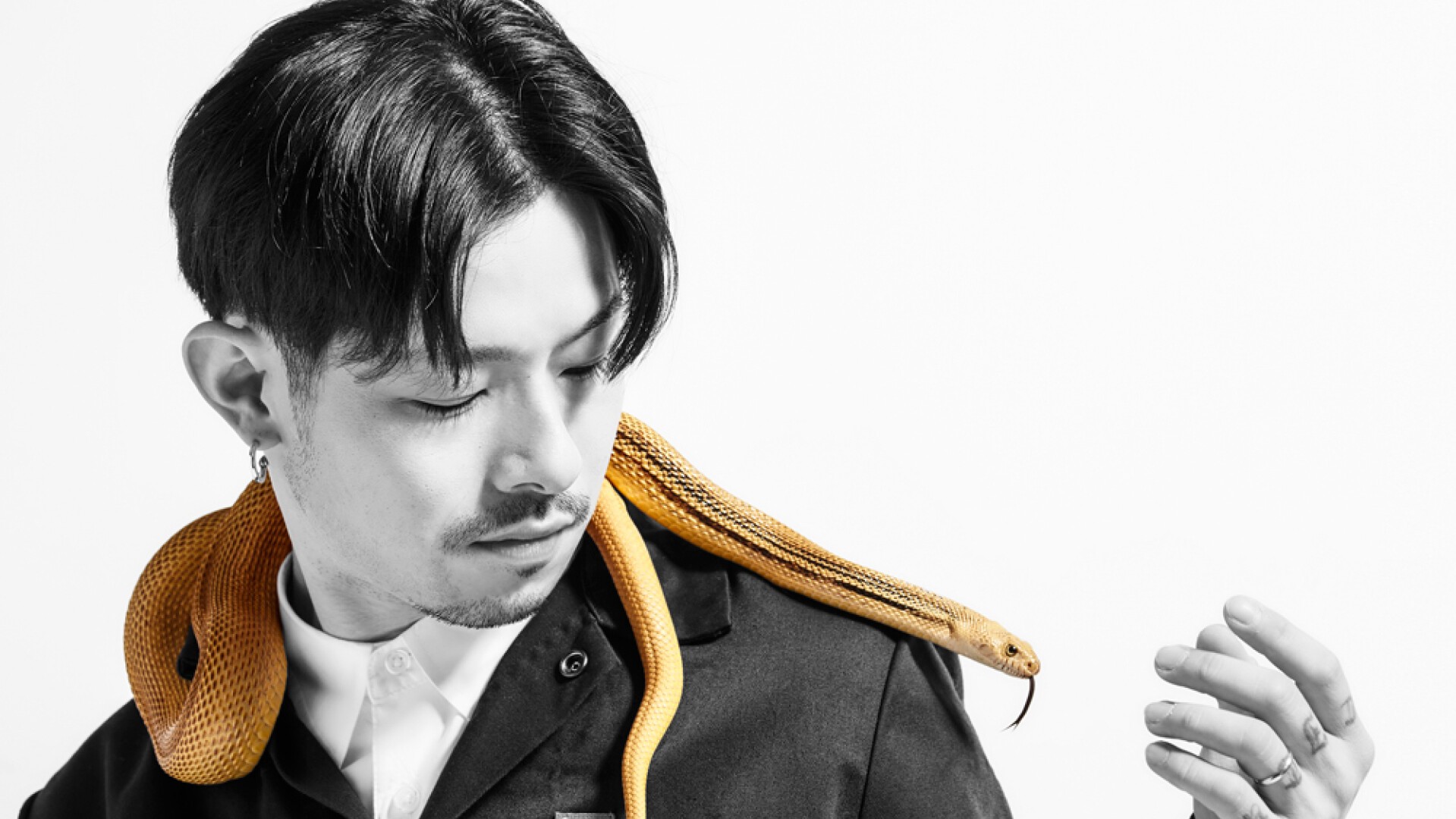 ZORN | iFLYER