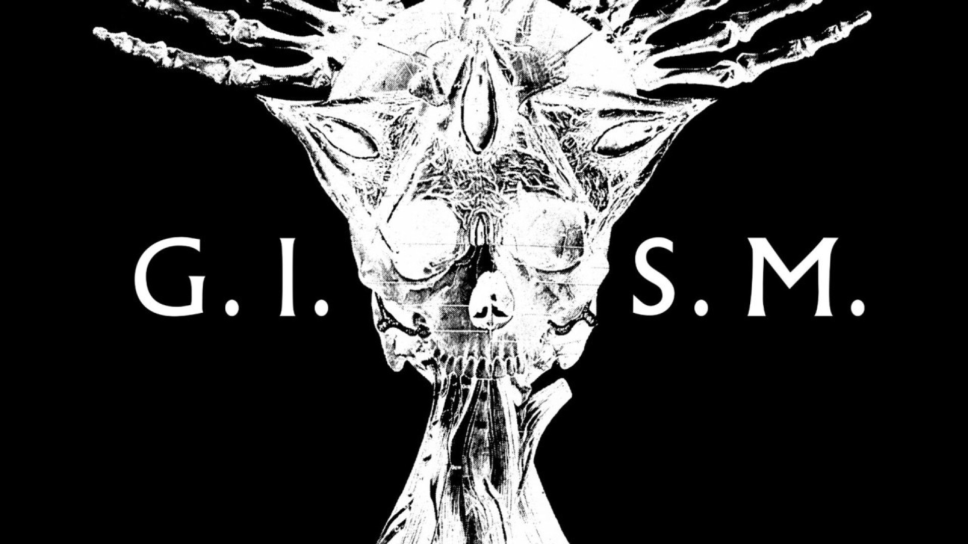 G.I.S.M. | iFLYER