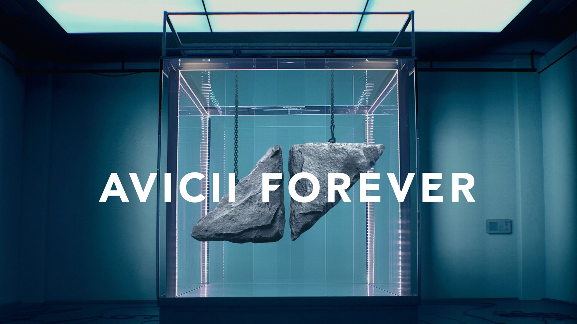 Avicii（アヴィーチー）のベスト盤『Avicii Forever』発売記念、旧譜CD