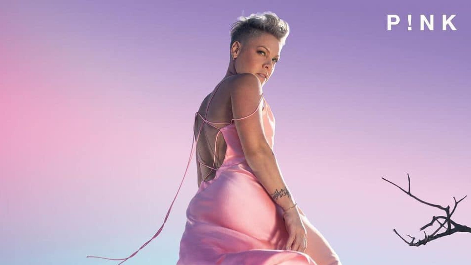 アメリカの大人気シンガー P!nk (ピンク) 、1995年の感謝祭のレイヴに