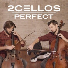 2CELLOS ／トゥー・チェロズ コンサートチケット - メルカリ