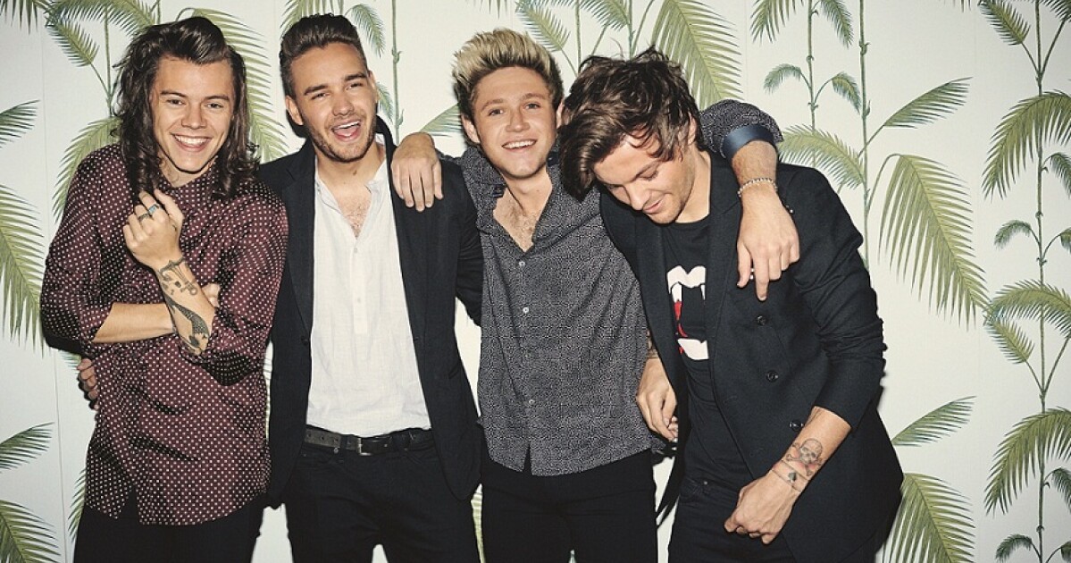 Iflyer One Direction Live Iflyer One Direction Live