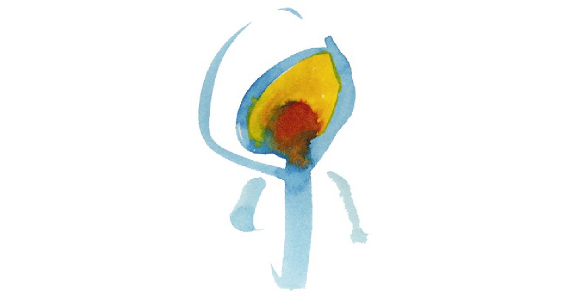 iFLYER: Nujabes - DJ