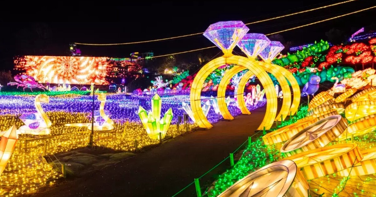 iFLYER: イルミネーションアワード3年連続第1位！進化する9年目の