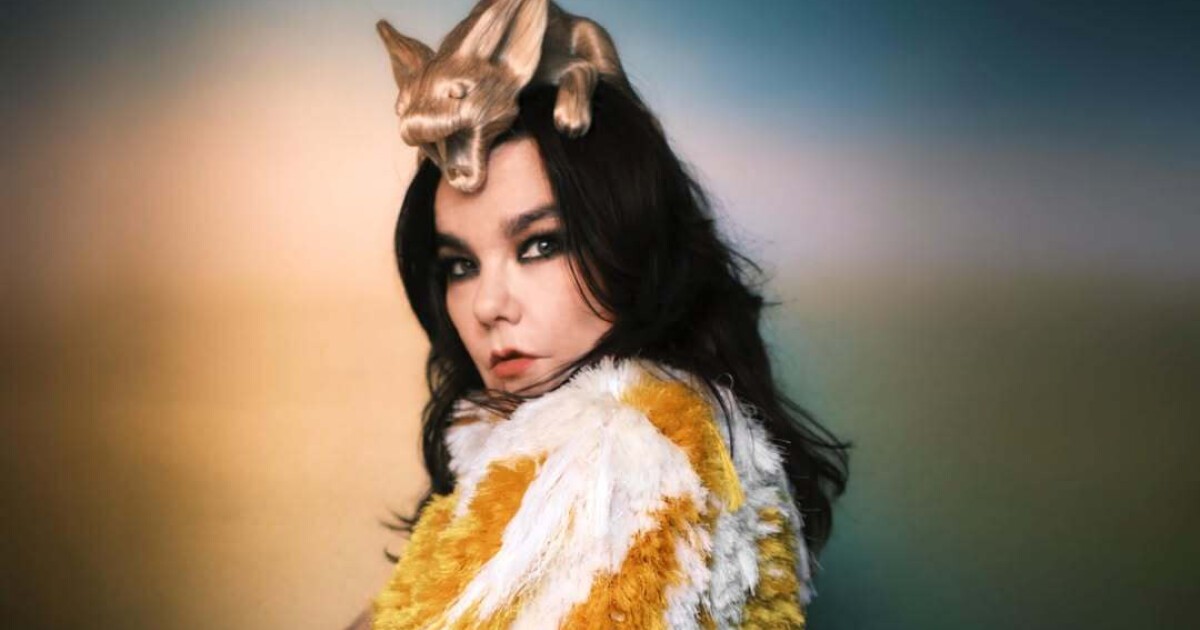 iFLYER: Björk (ビョーク) がアイスランド国立美術館でエキシビジョン