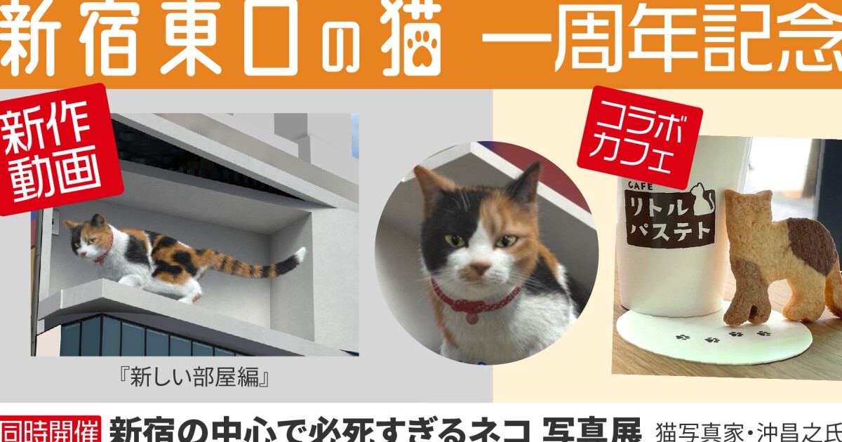 猫レプロ3D 1_40ijouxttybgw9889kwq3.jpg