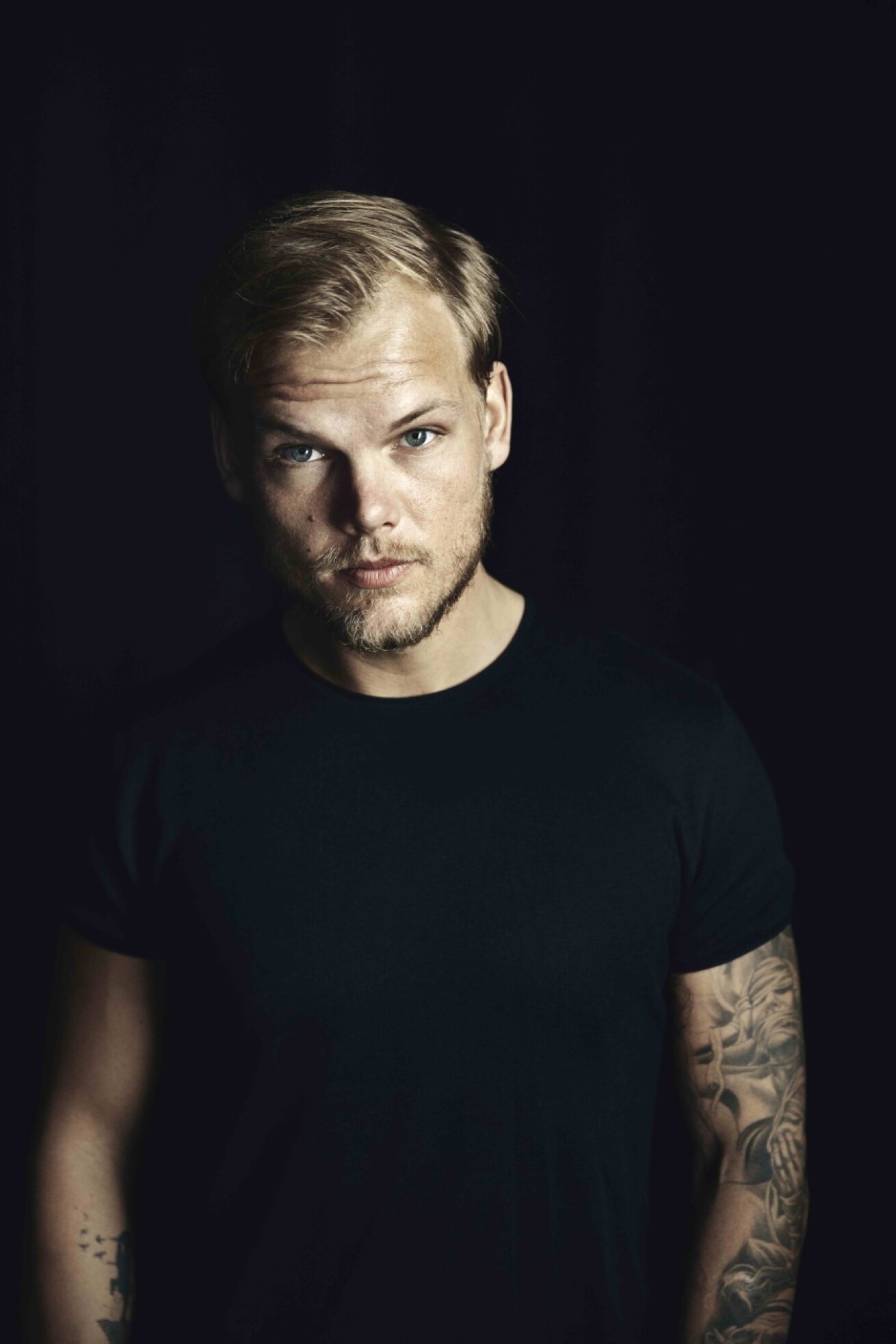 Avicii 幻のチケット! アヴィーチー 2014年10月12日 2枚 かそ 激レア