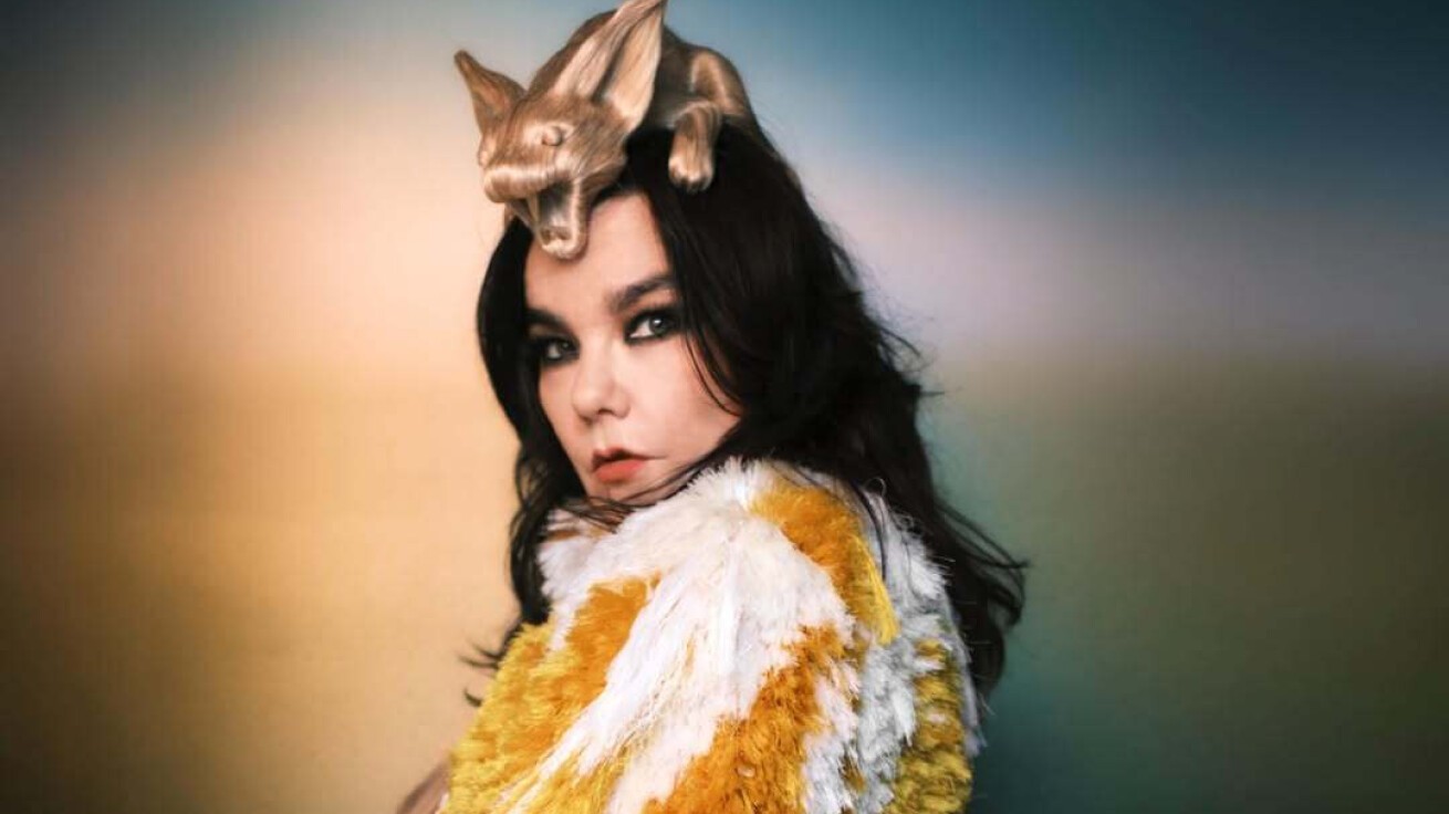 iFLYER: Björk (ビョーク) がアイスランド国立美術館でエキシビジョン