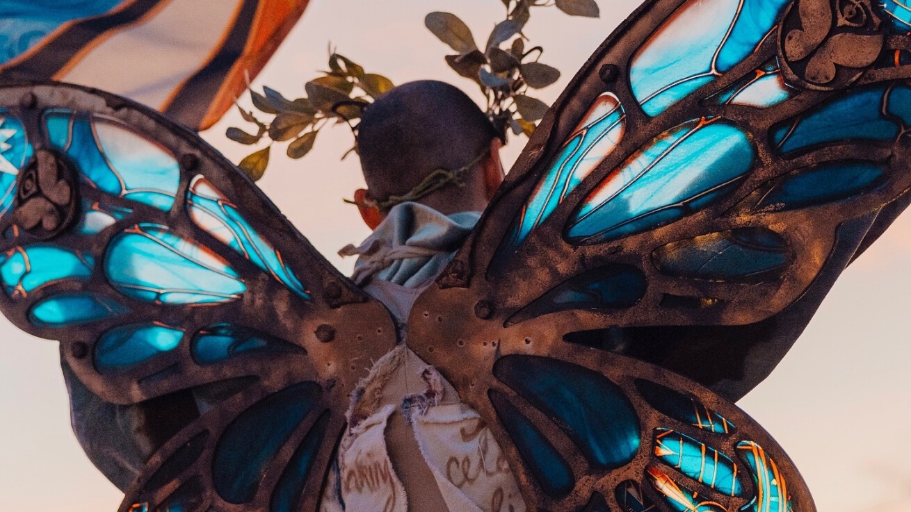 トゥモローランド 2025年F/W トゥモローランド 2025年F/W Tomorrowland 2025 フルラインナップ発表